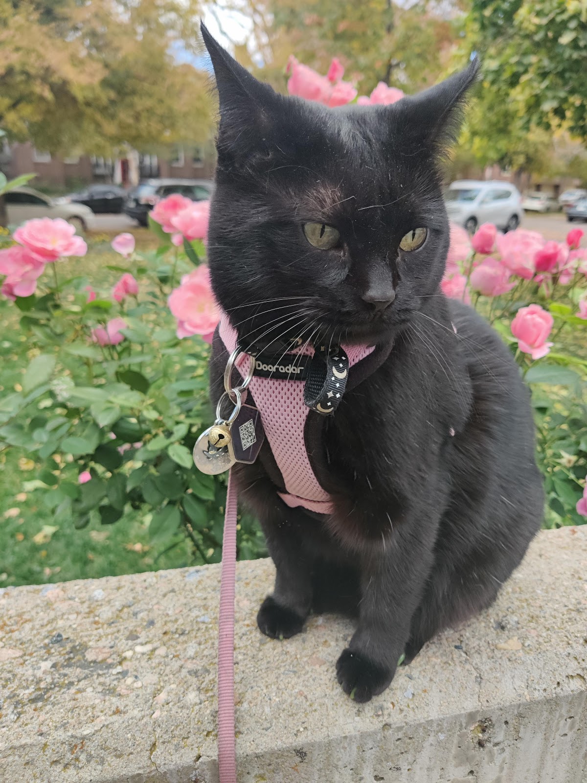 CHARG Resource Center